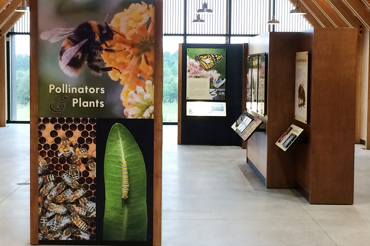 overview of pollinator center
